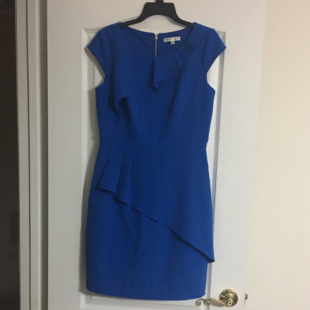 Blue Sandra Darren dress